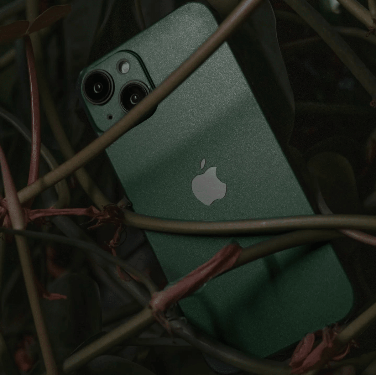 iPhone 12 Skin Matte Pine Green - TF Skins UG